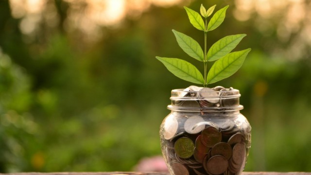 الاستدامة المالية .. التحدي القادم للمنظمات الخيرية